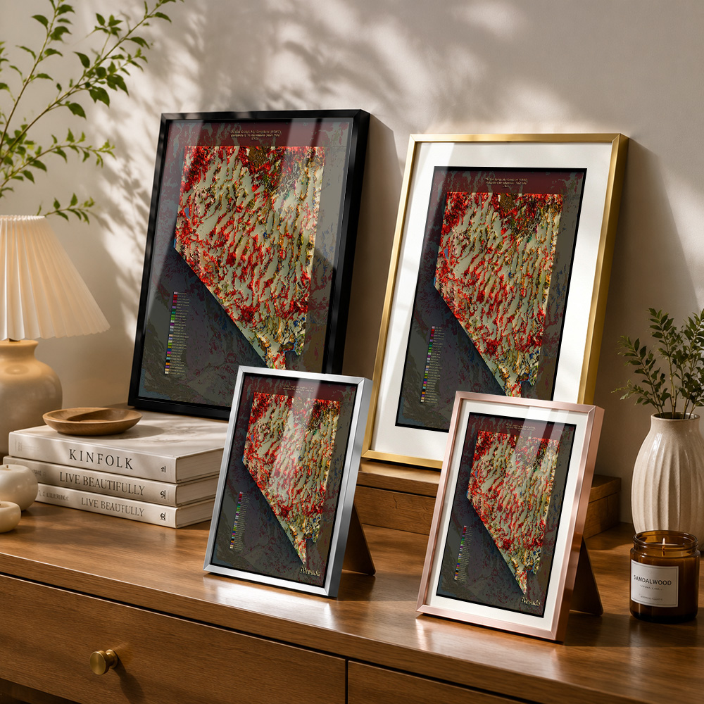 Nevada Geological Map Framed A - Custom Map Poster recension och pris